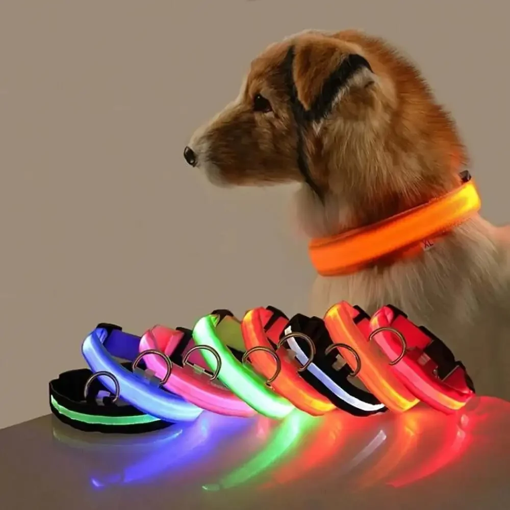 Nylon LED Night Safety Flashing Glow in the Dark Dog Leash Dogs Luminous Fluores